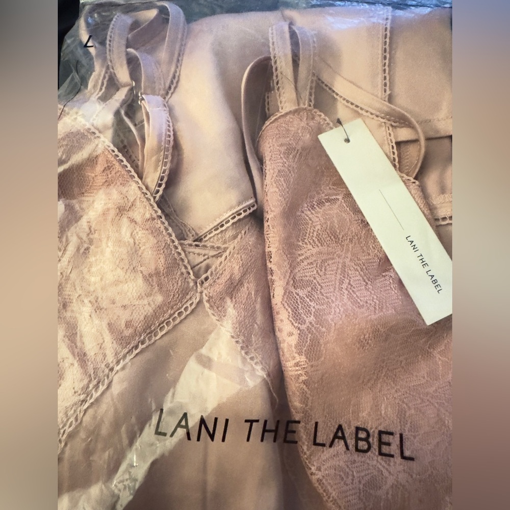 Lani The Label Ainsley Dusty Rose Satin Lace Slip Midi Dress XS NWT - Picture 6 of 9